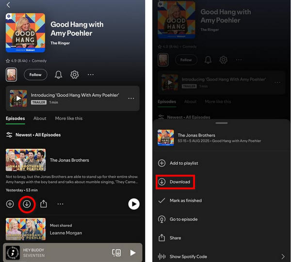 Download Spotify Video on Mobile