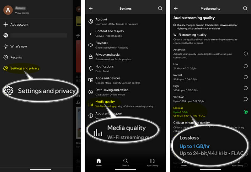 Enable Spotify Lossless Audio on Mobile Spotify App
