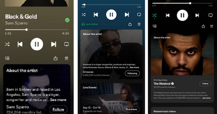 no lyrics preview on spotify