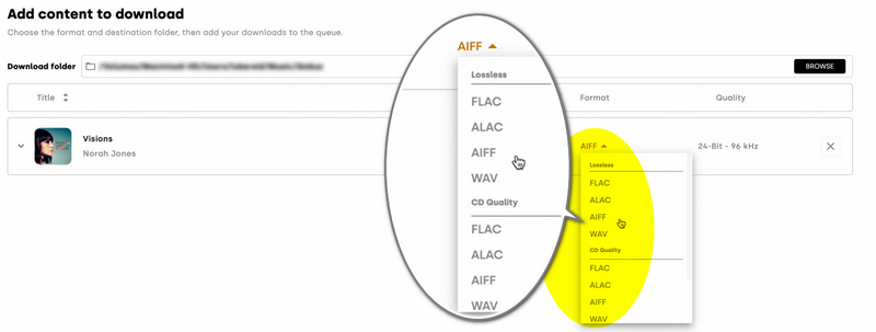 select qobuz output format