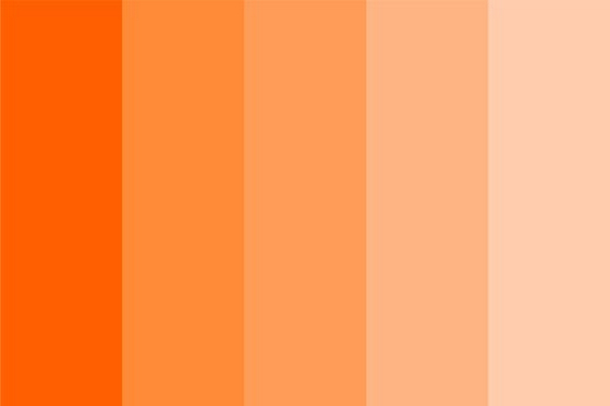 spotify color pallette orange