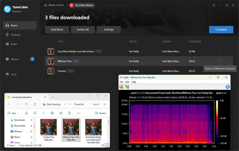 youtube music playlists to FLAC formats