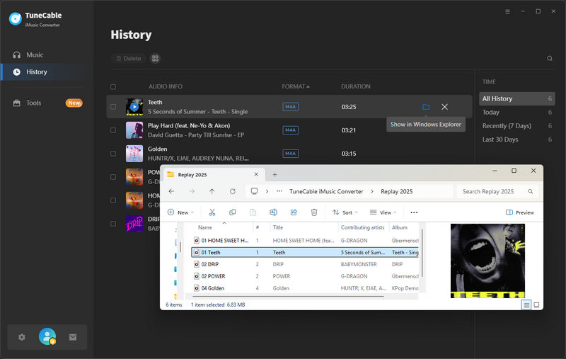converted apple music replay