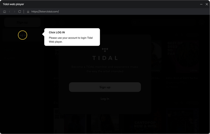 log in tidal web player