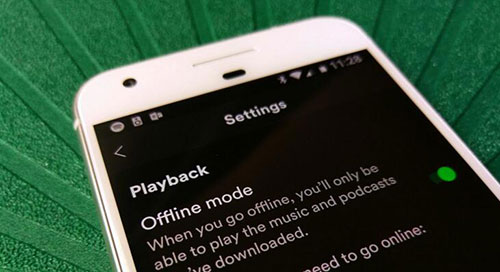 play spotify offline